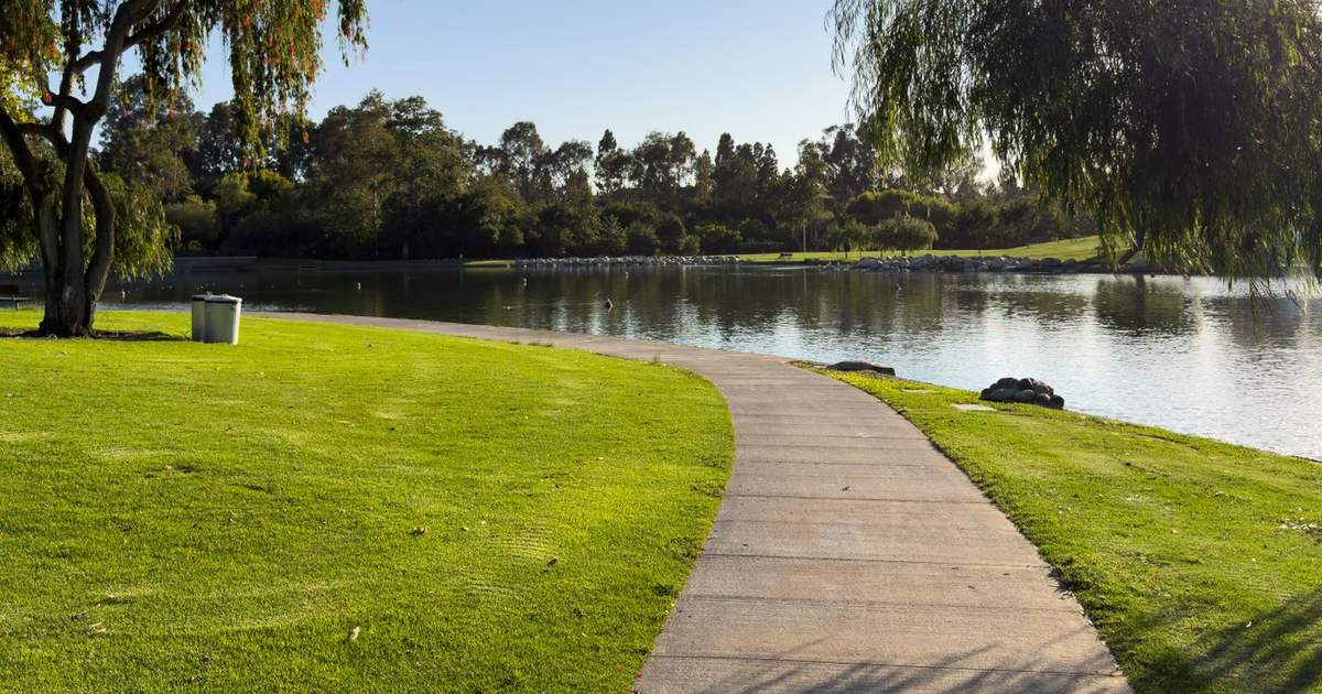 Curving walking path beside a calm lake with willow trees in an Irvine park